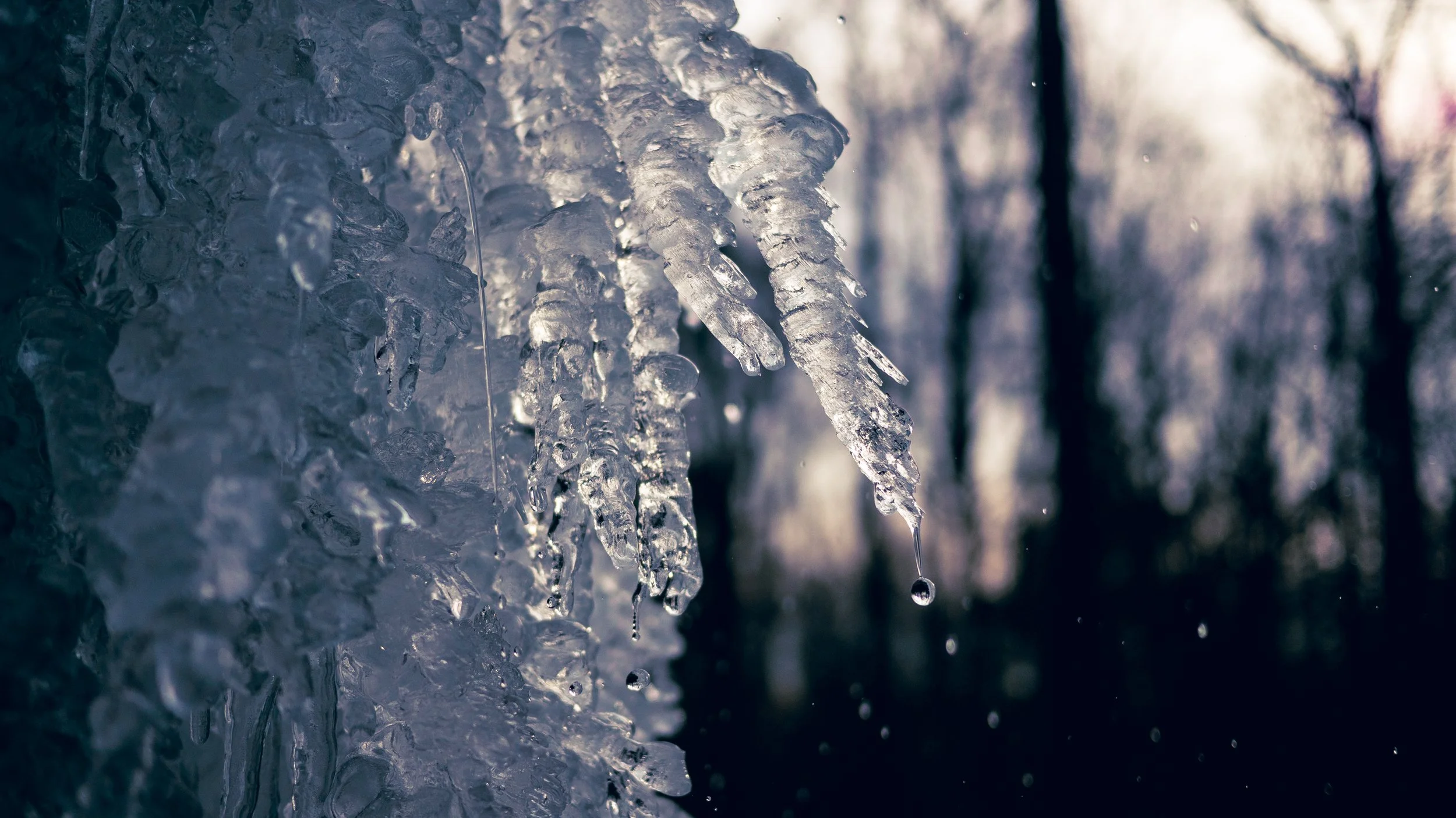 ICEFALL_20230205_P2040944_.jpg