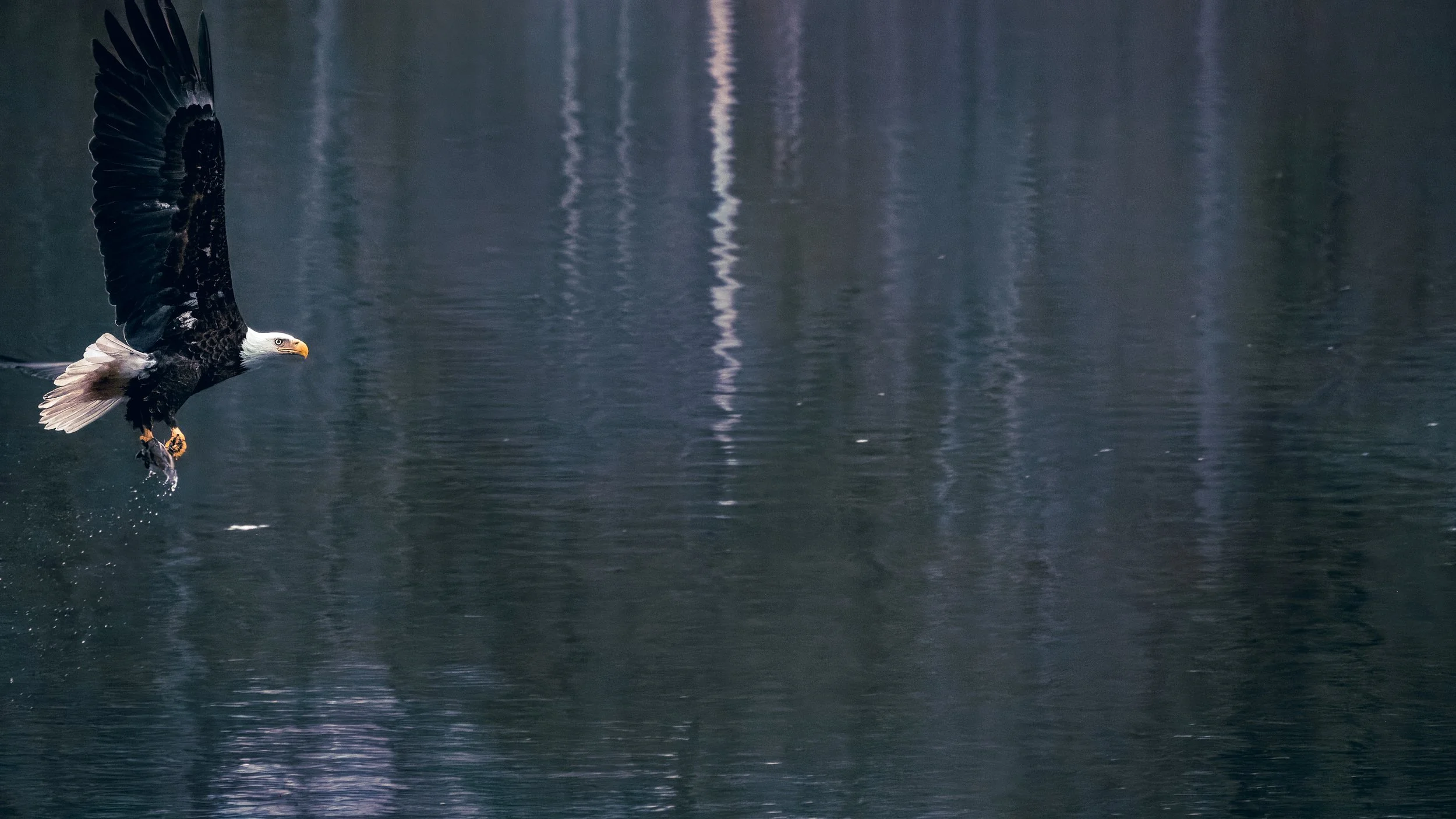 PA_240401_HR_0129_4608 x 2592_P2350227.jpg