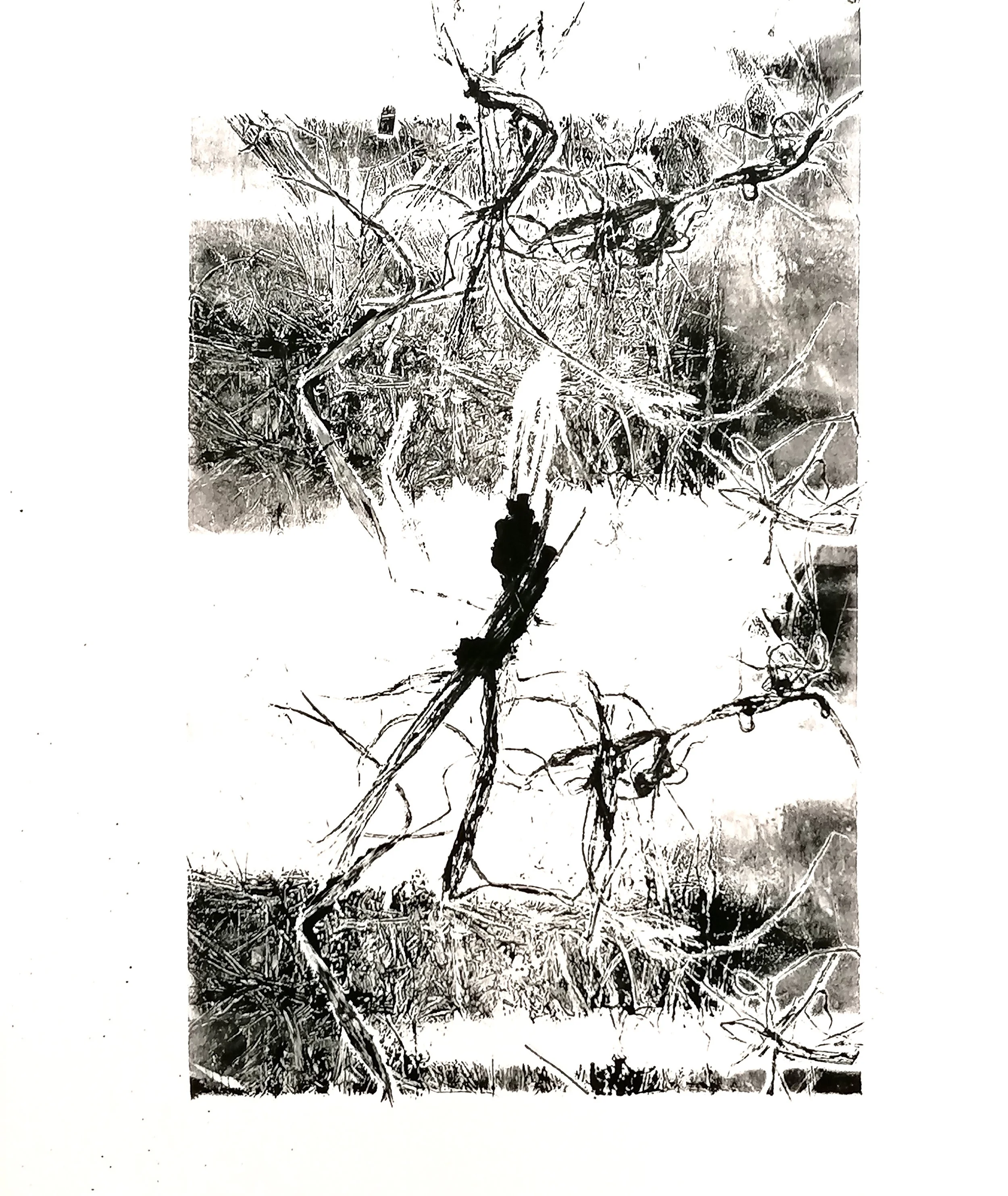 structures II