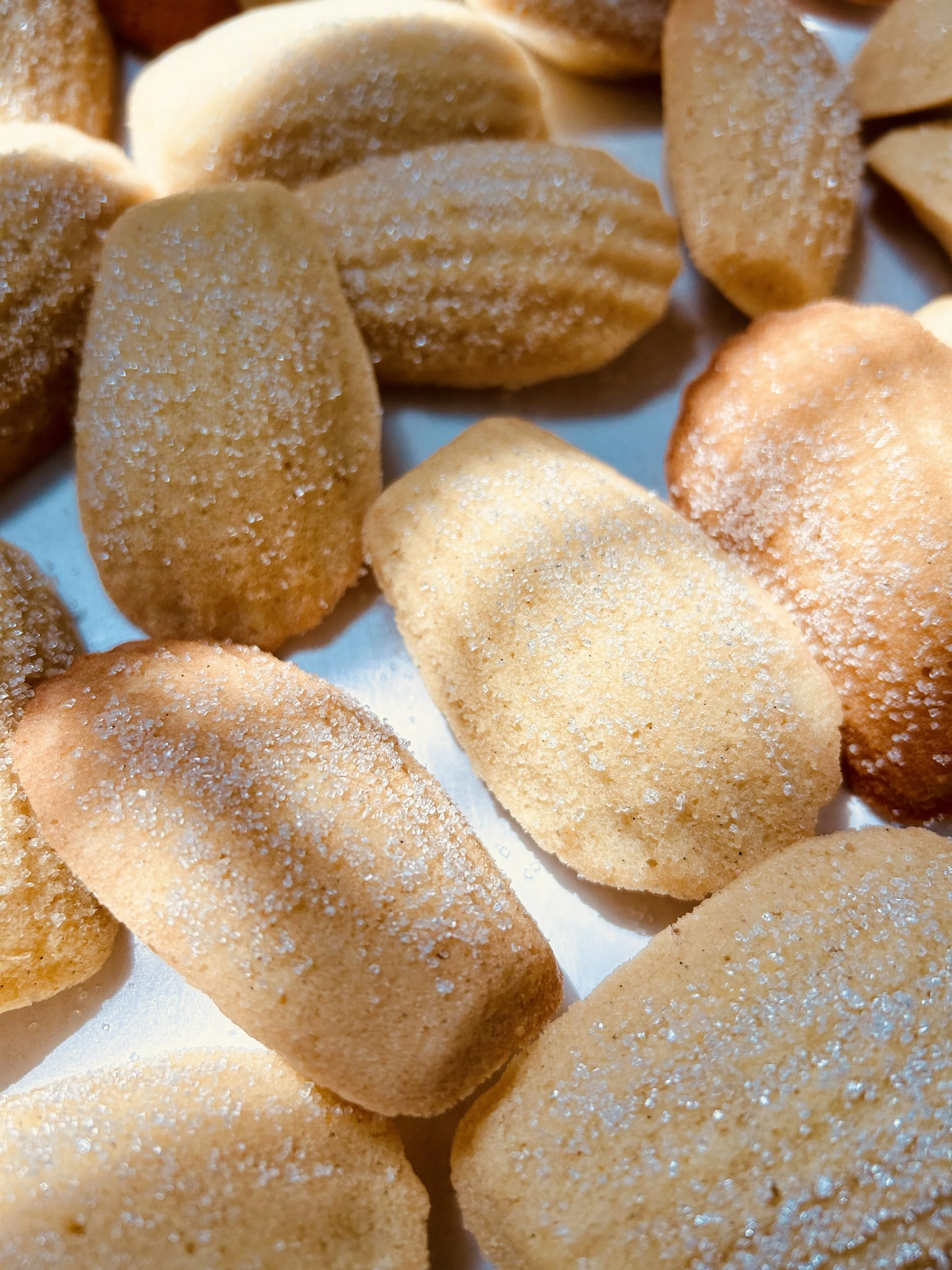 French Madeleine Cookies