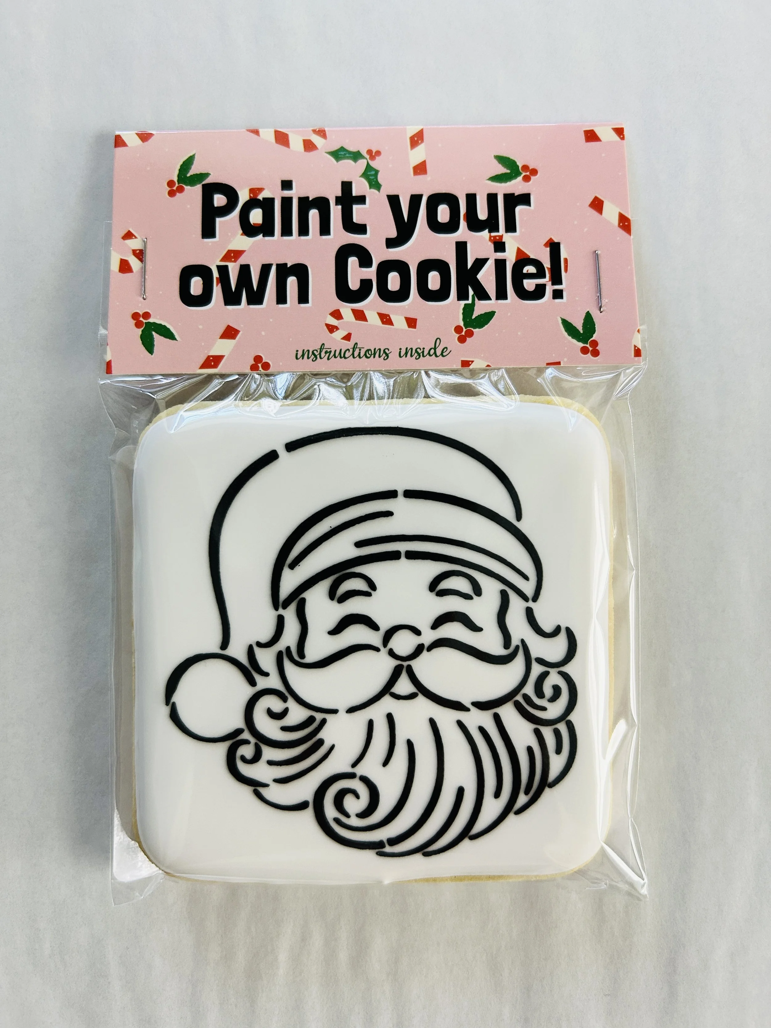 Paint-Your-Own Christmas Sugar Cookie Kits