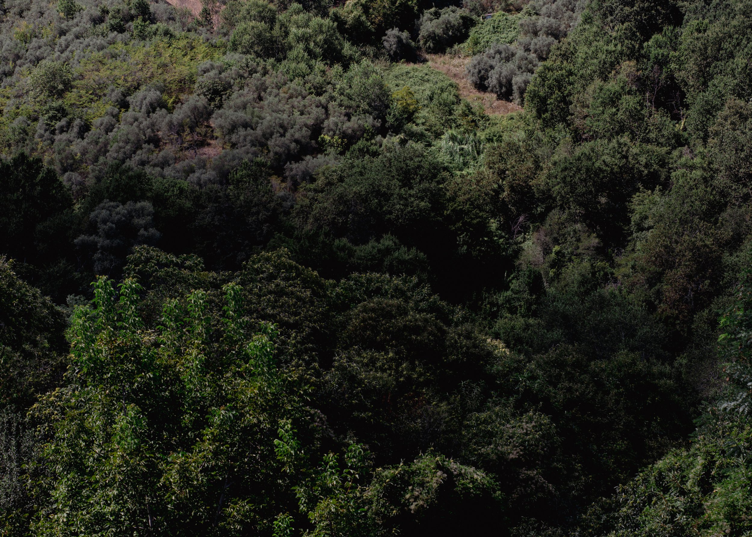 _DSC2940.jpeg
