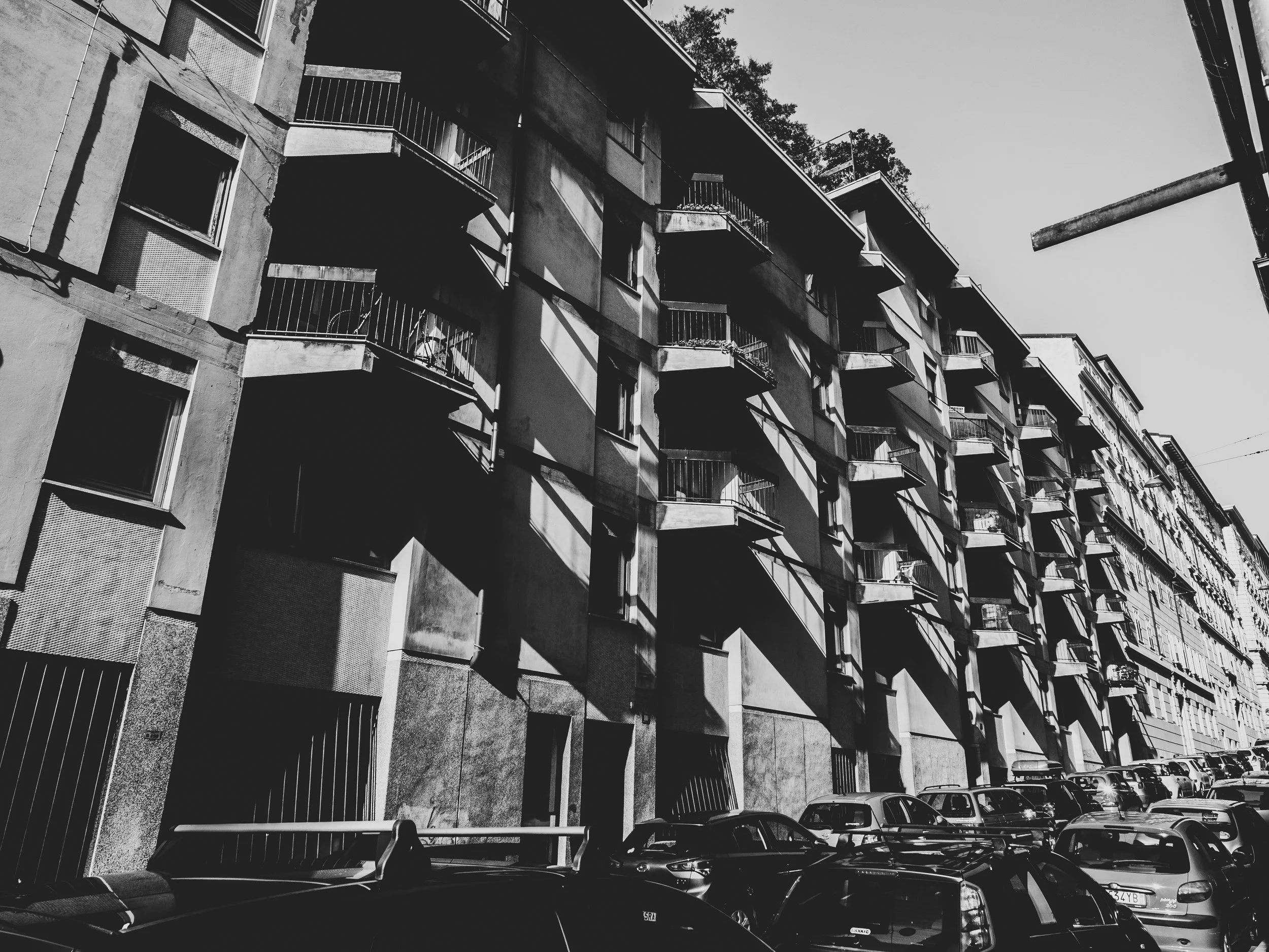 _1080617.jpg