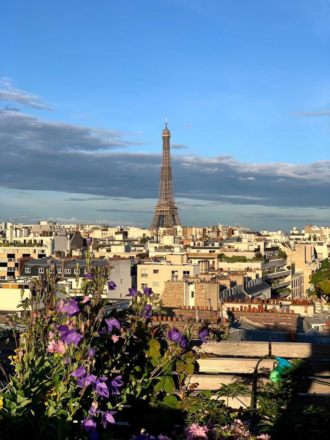 Eiffel at dinner time (unique angle).jpg