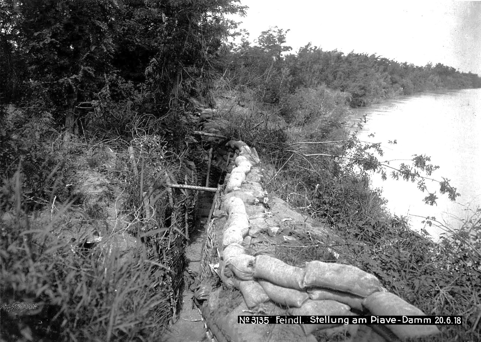 Front Line Trench Photo from Marco.jpg
