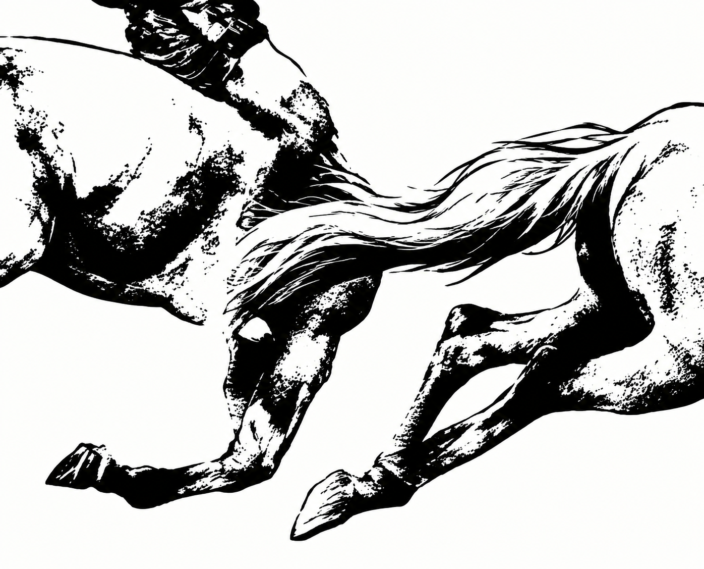 B9EFA7F2-B0BE-457B-8FD8-1EBC9D1D574E.PNG