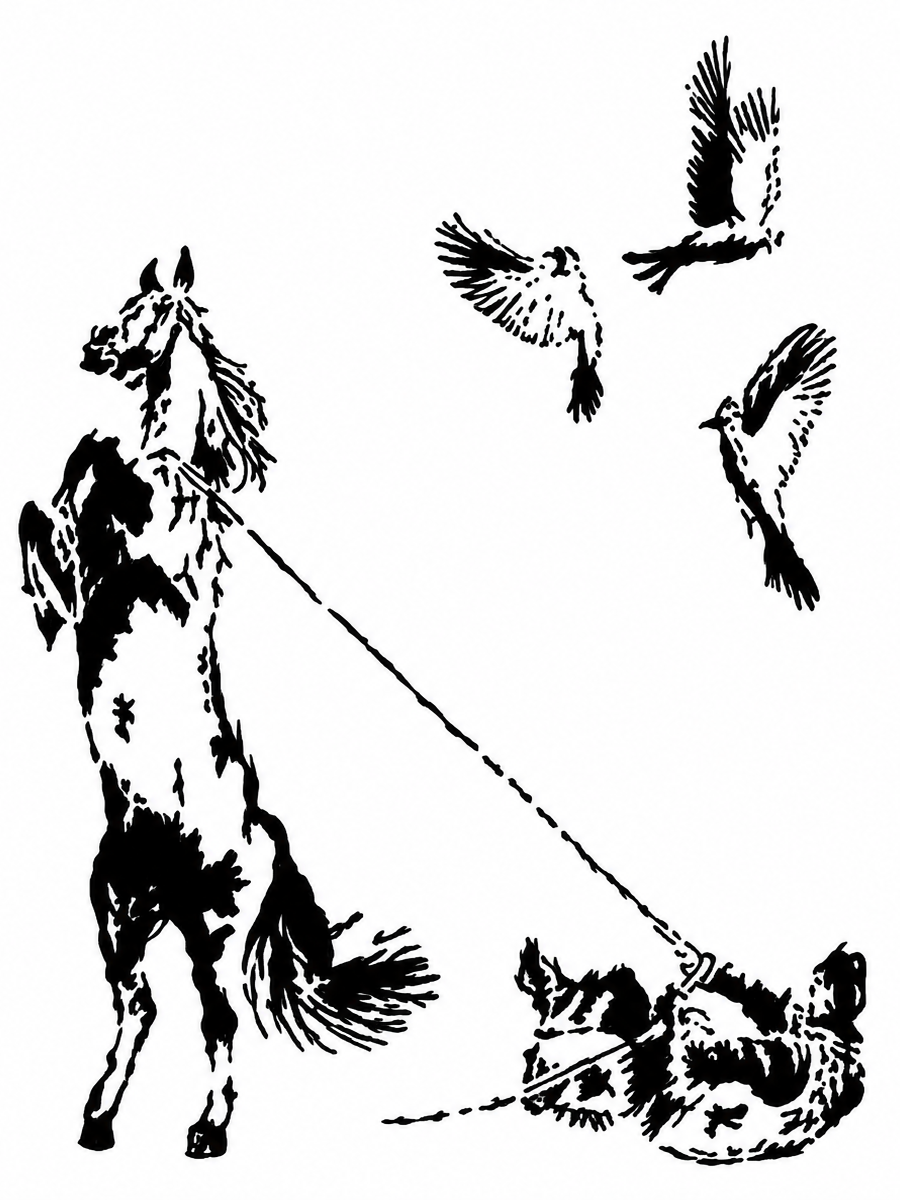 4BD80E95-0660-411C-BA77-866D04BAC448.png