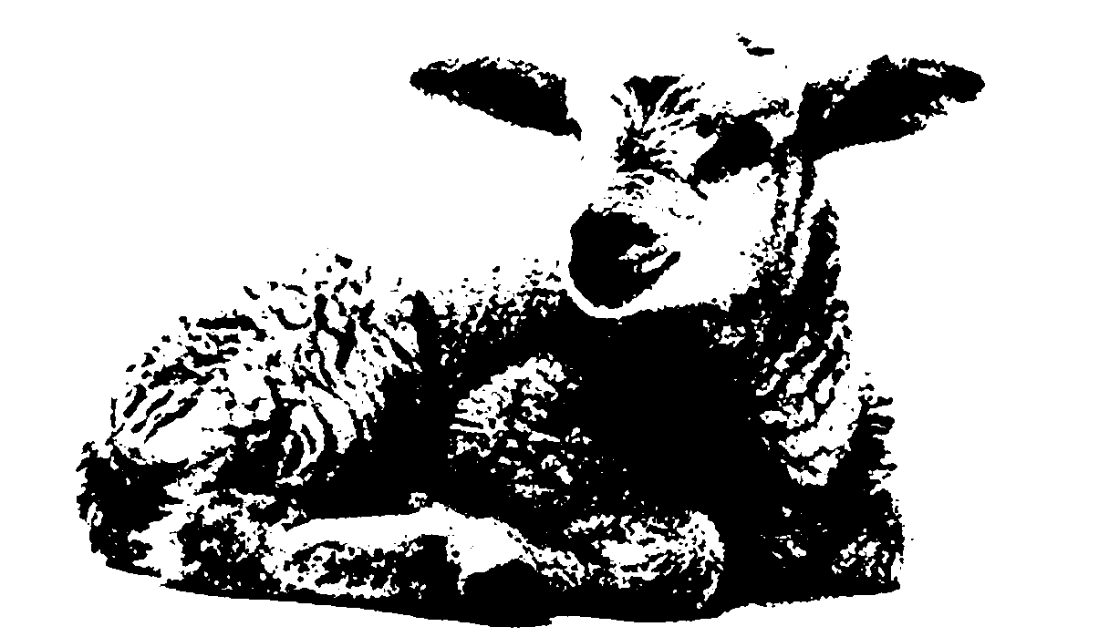 IMG_1062.PNG