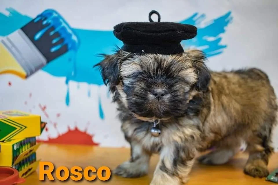 FB_IMG_1708036254376 (1).jpg