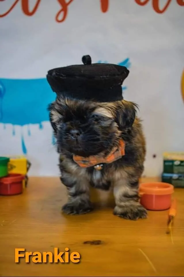 FB_IMG_1708036214269 (1).jpg