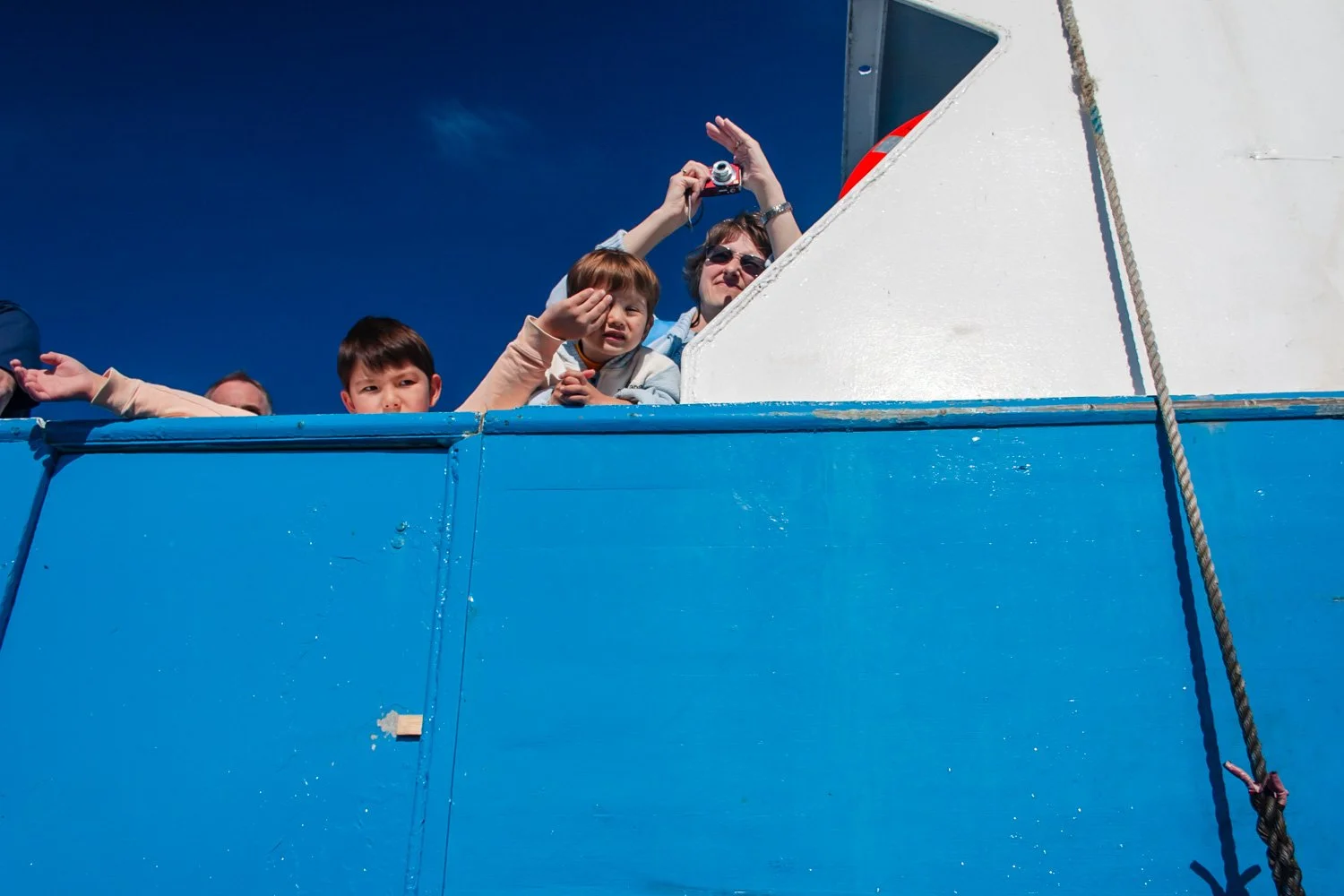 20050814_farne_059_web.jpg