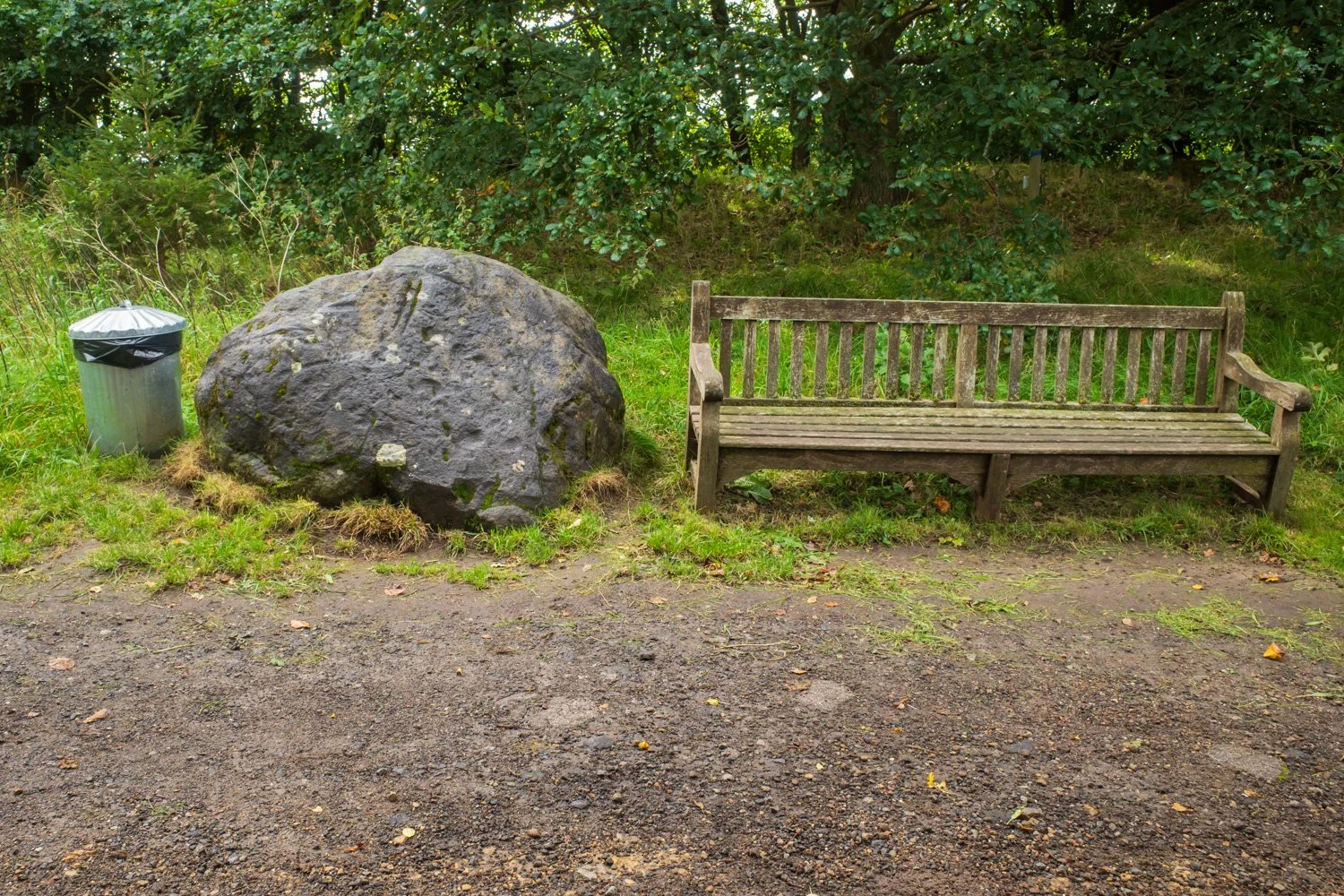 R0006536_web.jpg