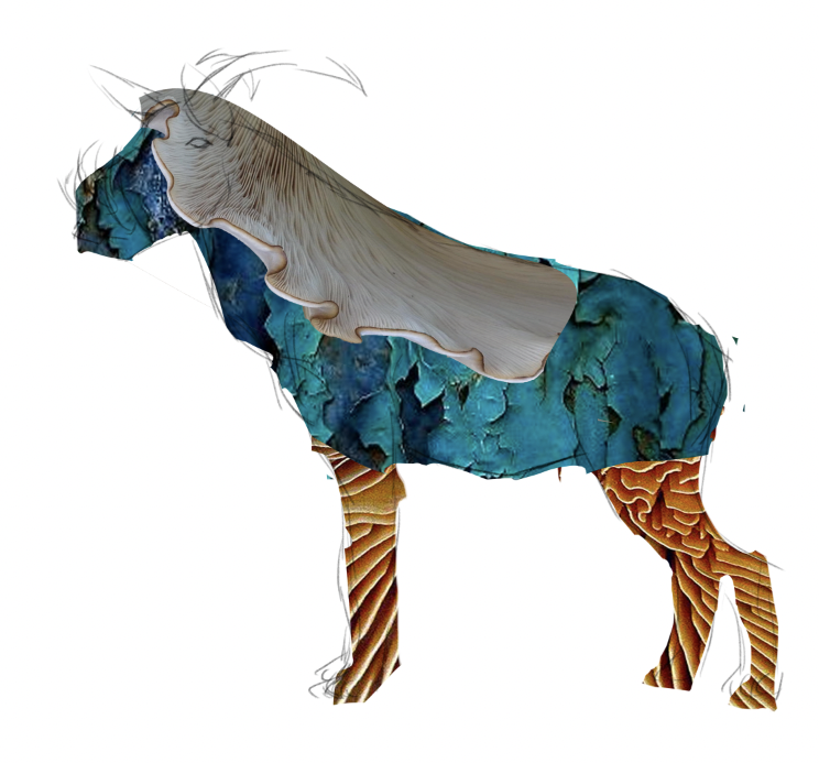 KaylaA_photobash1 copy.png