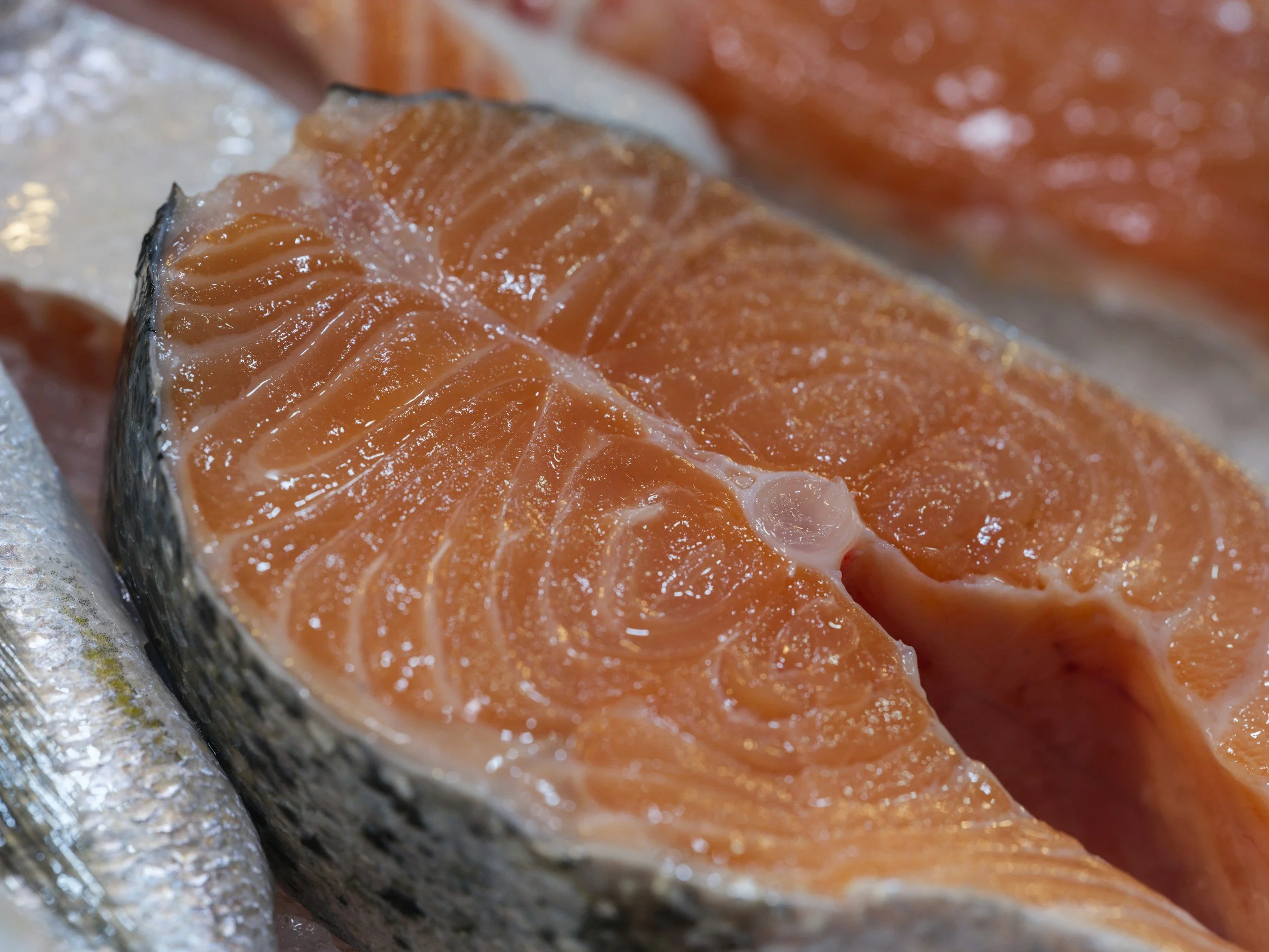 Salmon Treats for Dogs and Cats: Why Skin-On Salmon Matters