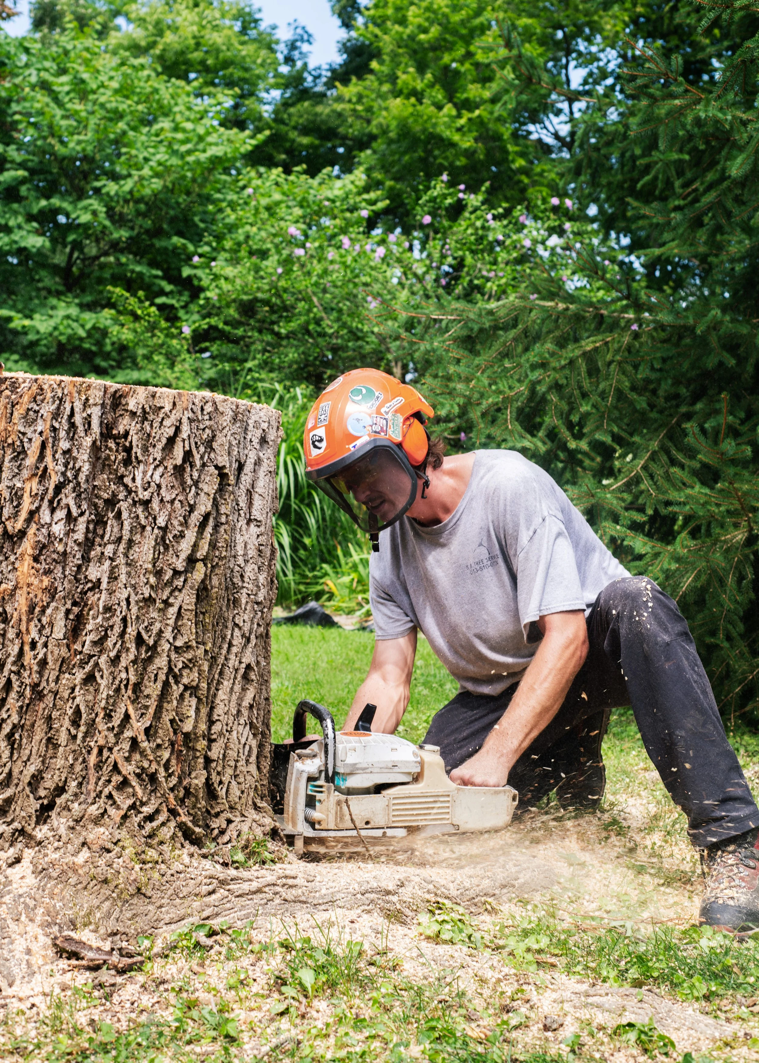 SBTreeService_008.jpg