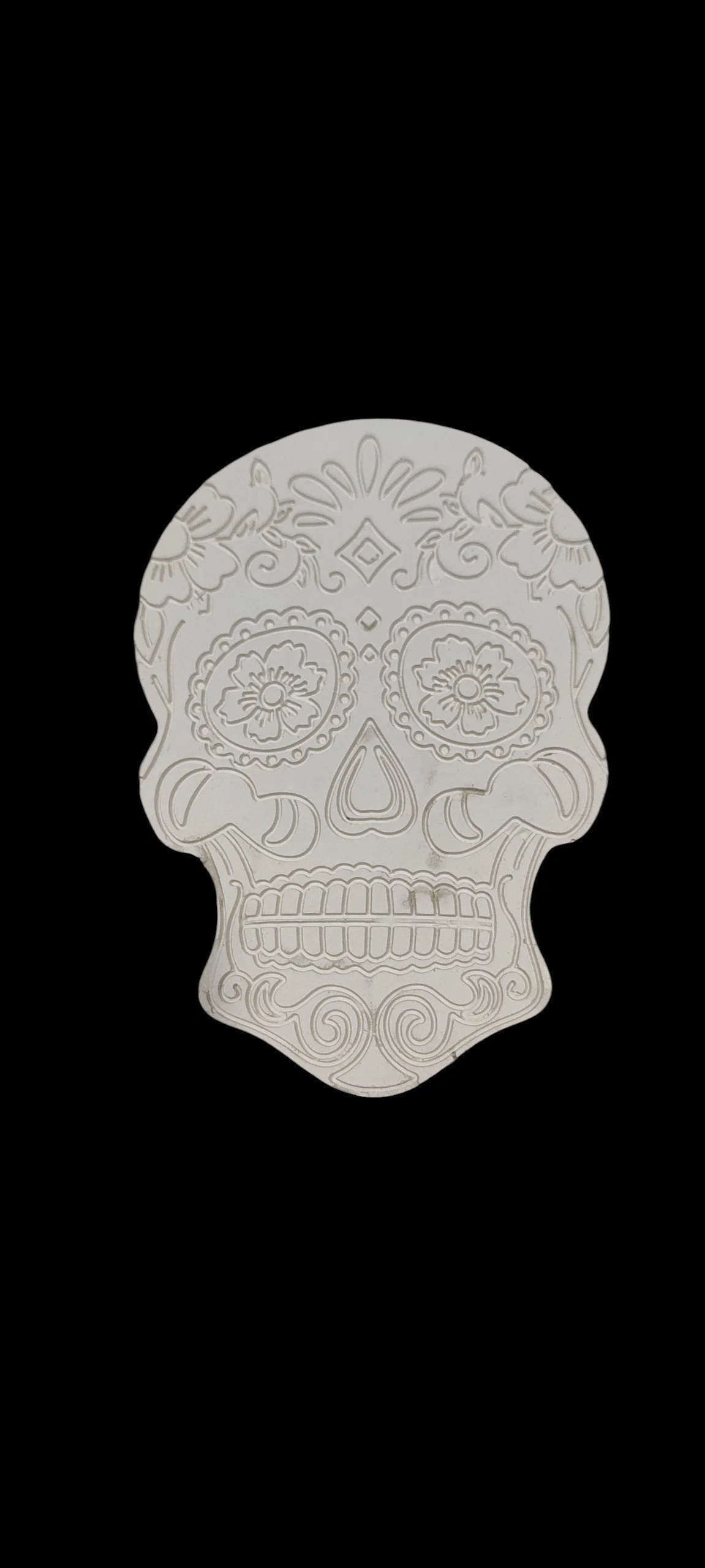 IMG_20260924_125648778.jpg