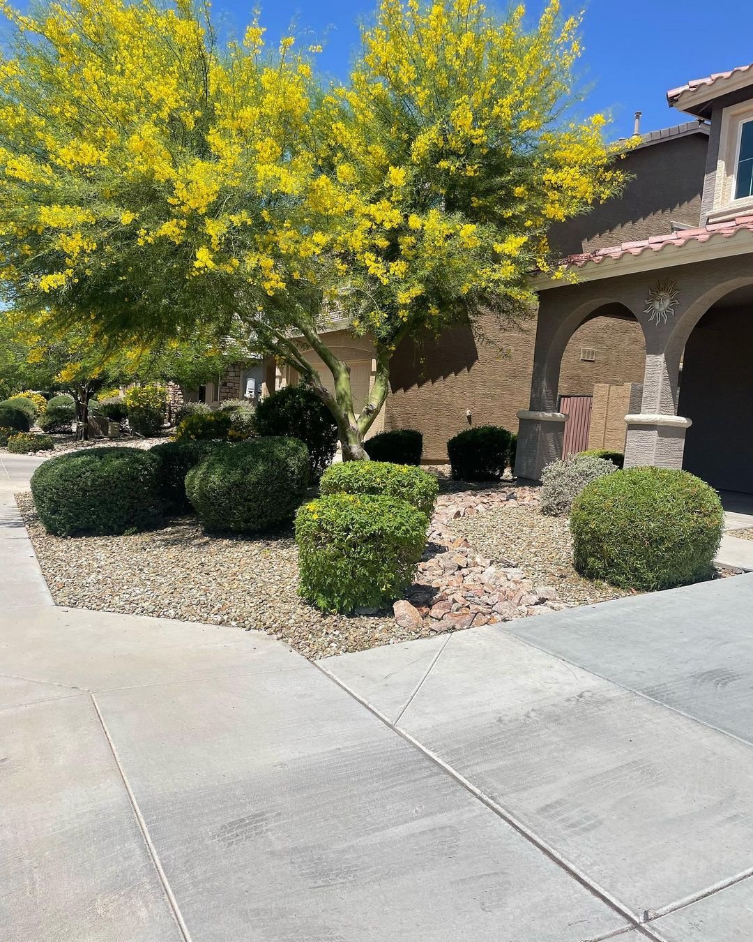 Before and After Front Yard Tree Trimming Services, Valley Of The Sun Landscaping2.jpg