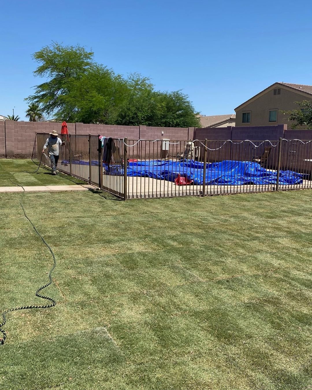 Before and After, Sod Installation Services, Valley Of The Sun Landscaping, Phoenix AZ4.jpg