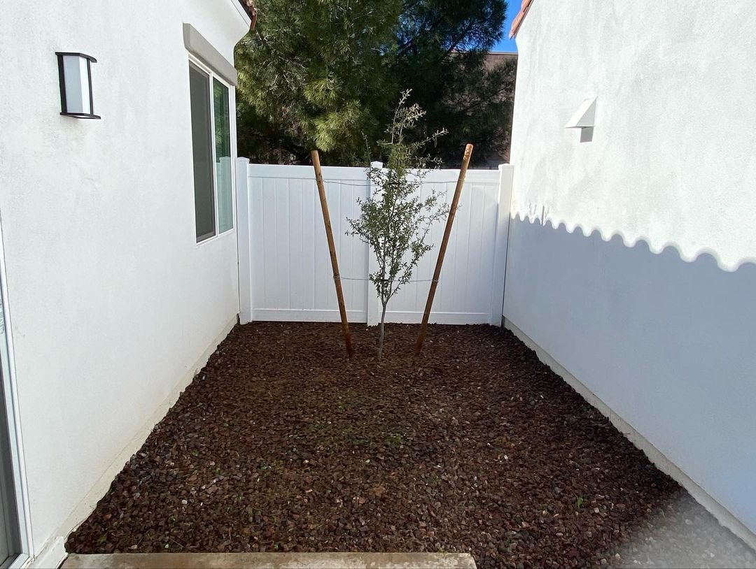 Before, After Yard Cleanp, Weed Control Services, Valley Of The Landscaping, Phoenix AZ2.jpg