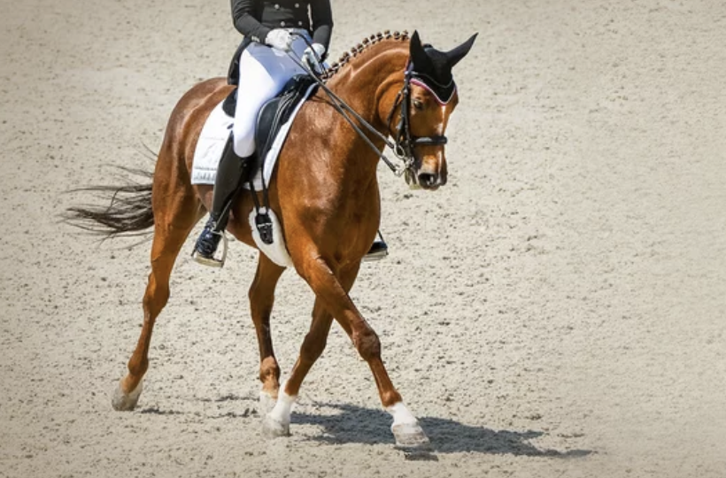 What to Wear as a Dressage Spectator (And Why You'll Want Shade)