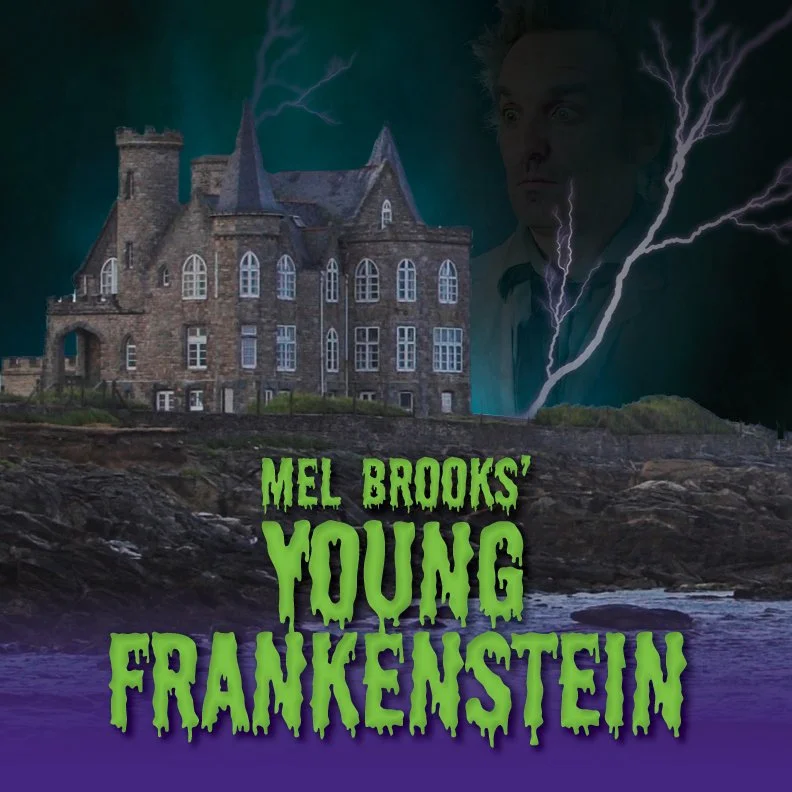 Mel Brooks’ Young Frankenstein     (West End Version)