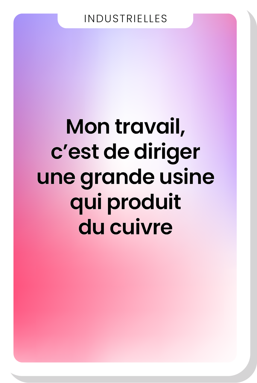 LESINDUS-carte verso-marie-pier-directrice-industrielles-medias sociaux.png