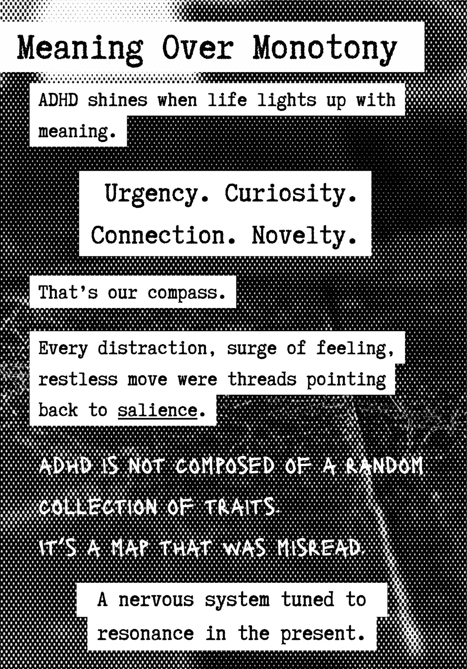 attention, rebels zine - digital-14-16.jpeg