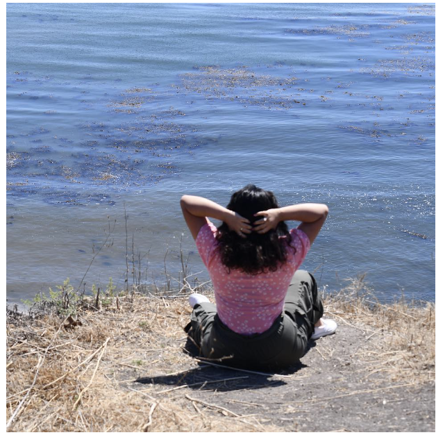 Screenshot 2024-02-27 at 12.41.03 PM.png