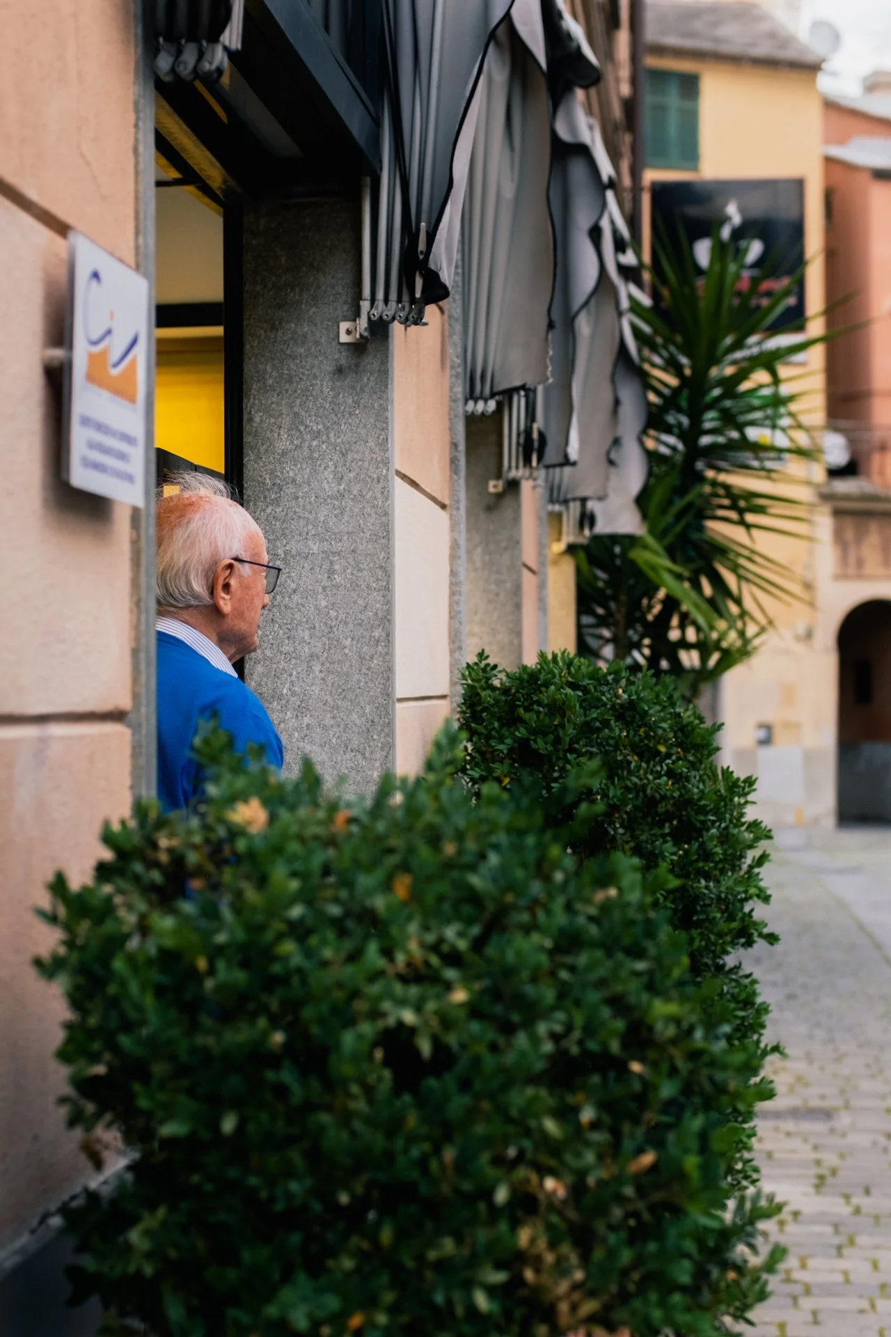 Uomo anziano con capelli bianchi e occhiali si affaccia da una finestra di un edificio, con piante verdi sul marciapiede.