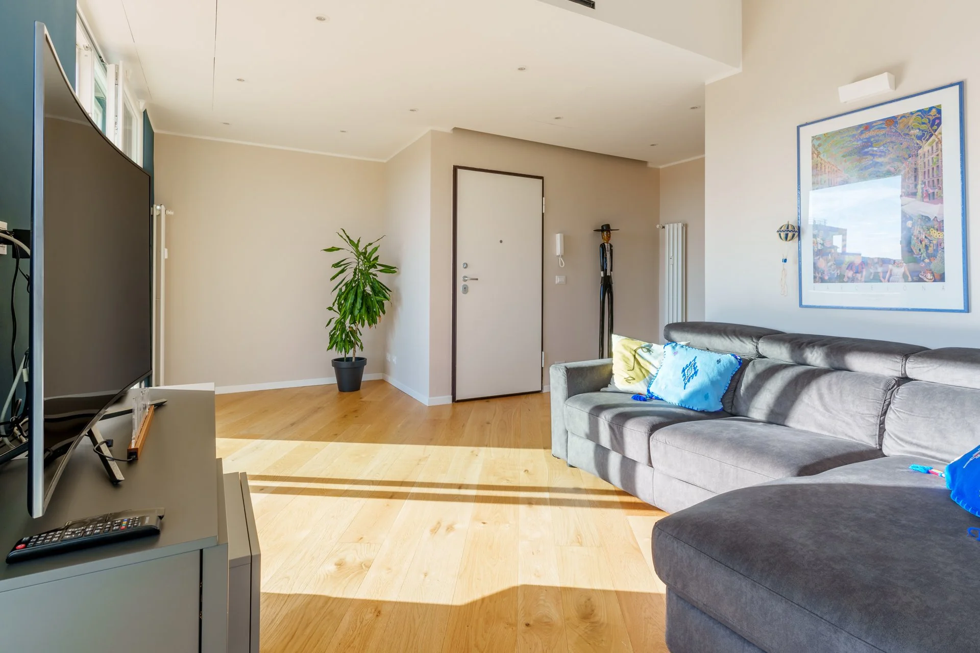 Soggiorno con divano grigio, quadro alle pareti, pianta in vaso, porta d'ingresso, televisore e telecomando.