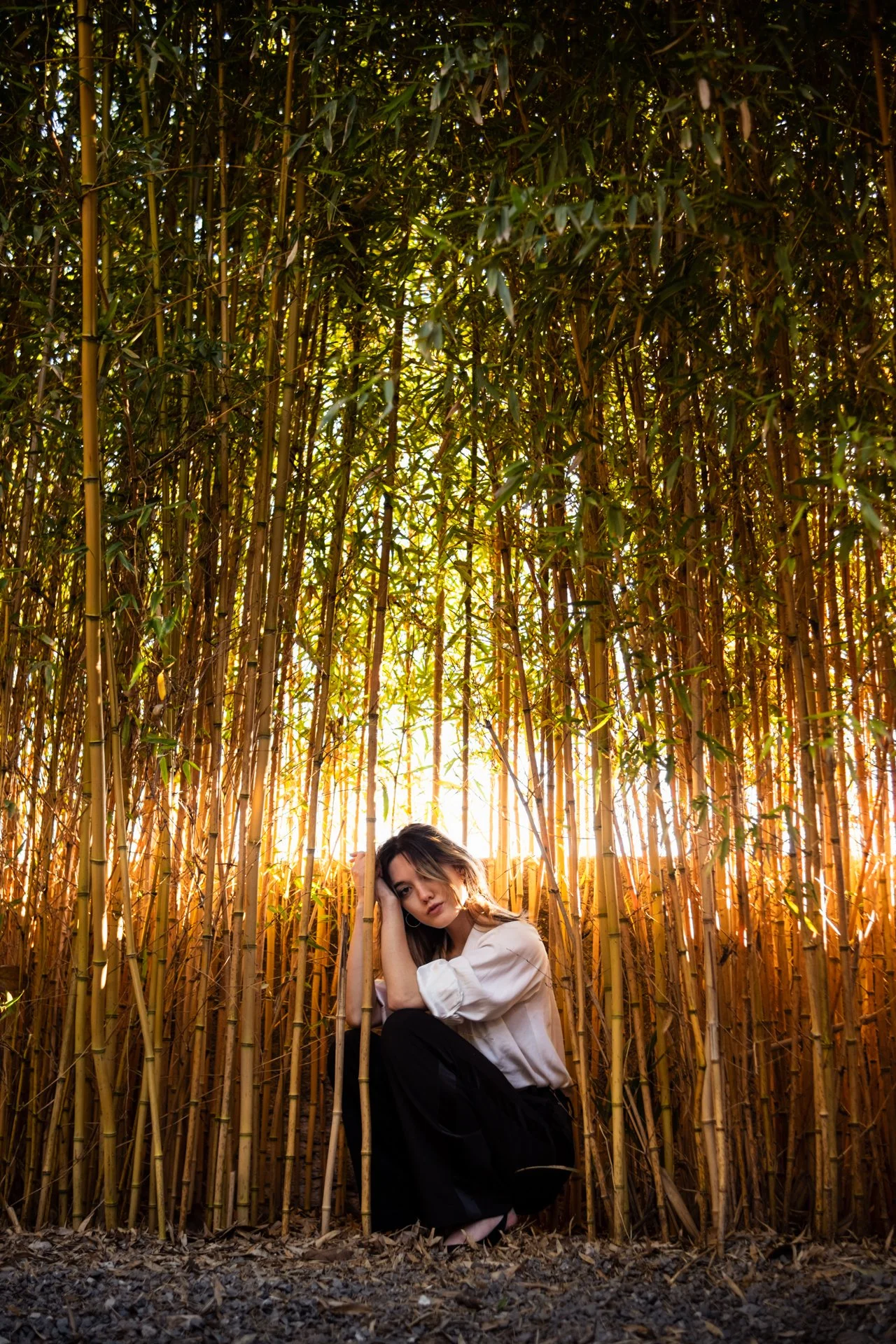 Una donna seduta tra canne di bamboo, con luce calda del tramonto sullo sfondo.