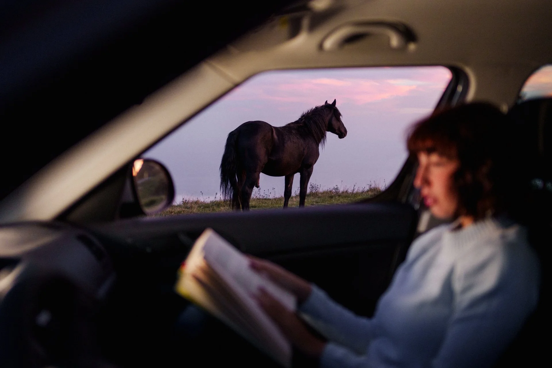 Una donna seduta all'interno di un'auto che legge un libro, con un cavallo nero visibile all'esterno attraverso il finestrino, durante il tramonto.