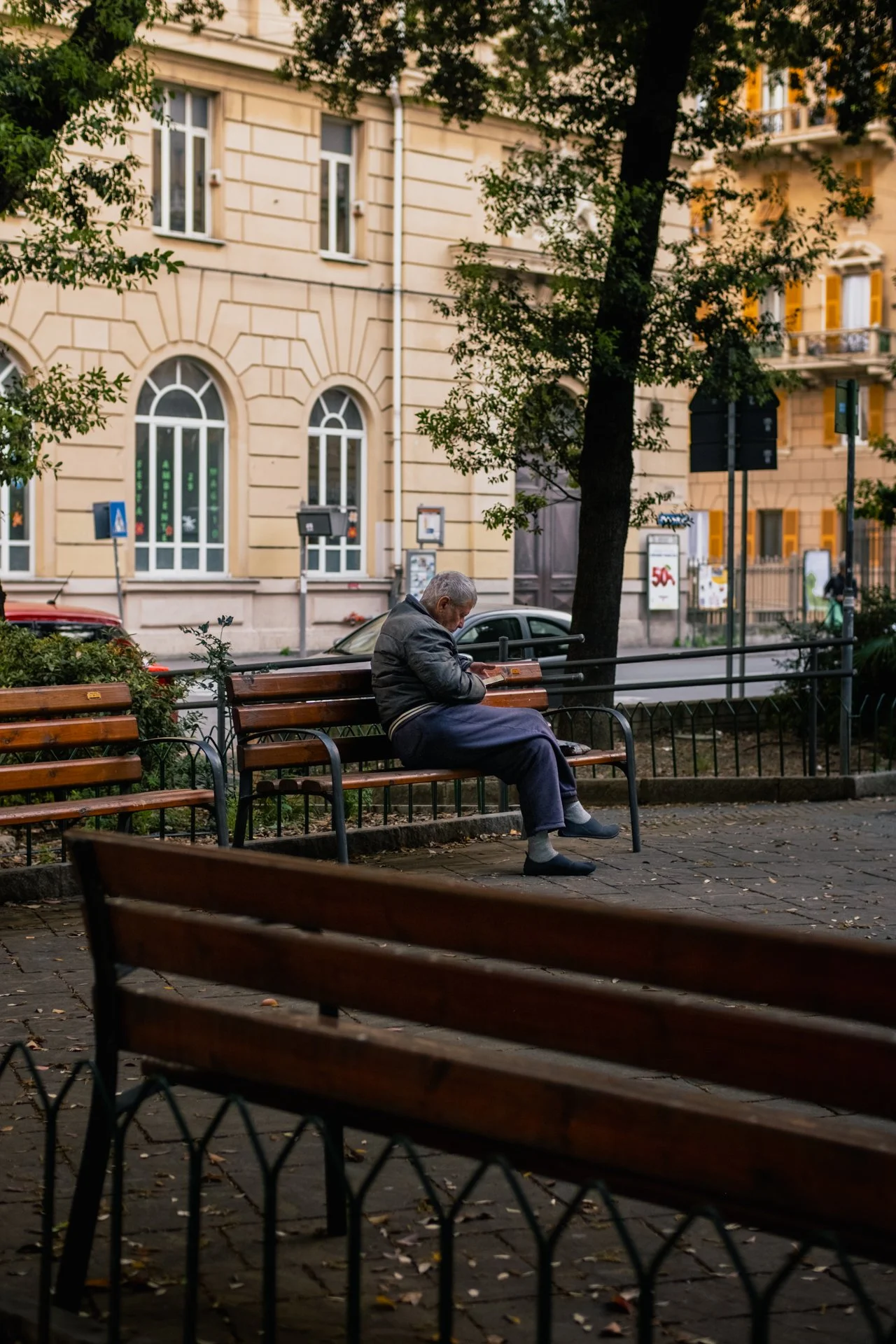 Uomo anziano seduto su una panchina in un parco cittadino che legge un libro, con alberi e edifici residenziali sullo sfondo.