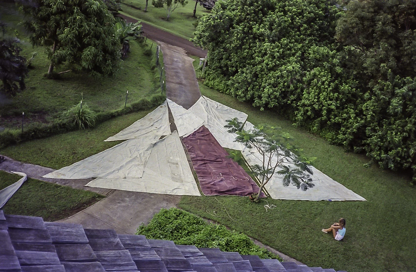Sorting Sails