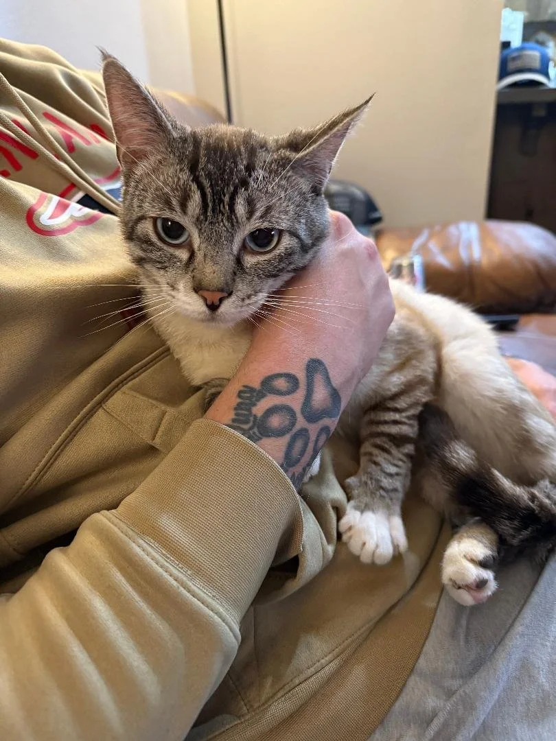 Bruce and Katherine Simich : Furry Friends Fur-Ever