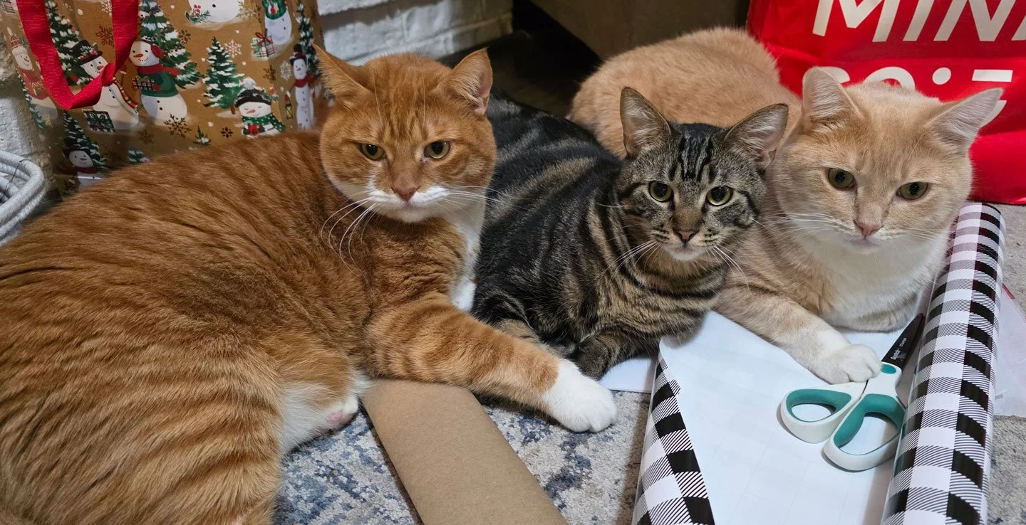 Hank, Harvey and Miso and the Trejos: Furry Friends Fur-Ever 