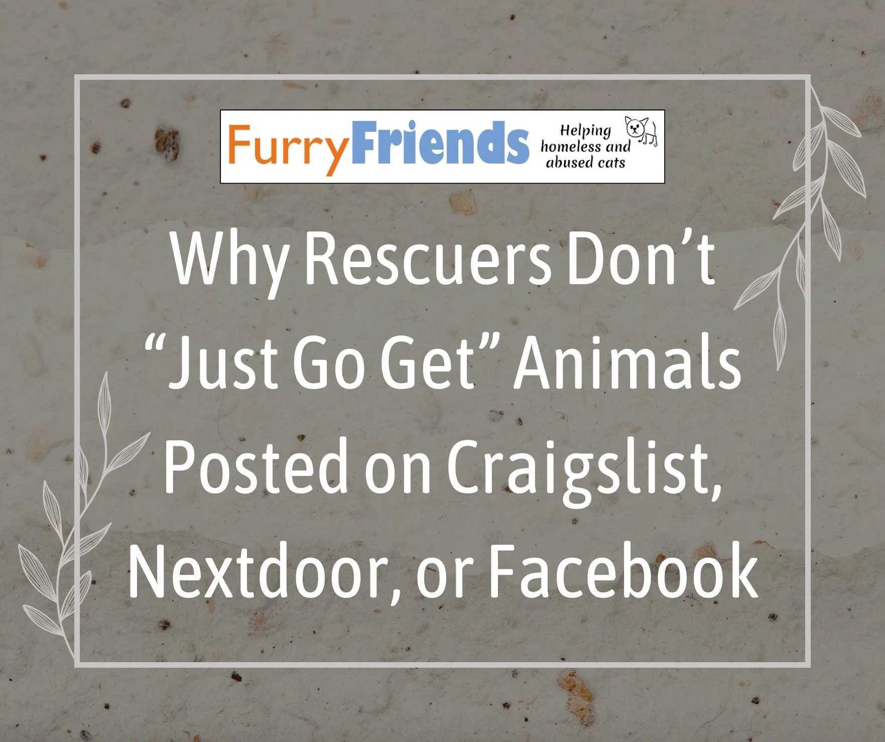 Why Rescuers Don’t “Just Go Get” Animals Posted on Craigslist, Nextdoor, or Facebook