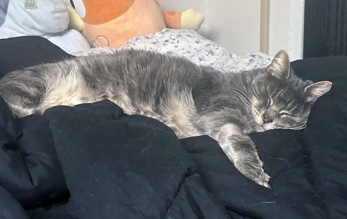 Harry and Izzy Sheldon: Furry Friends Fur-Ever 