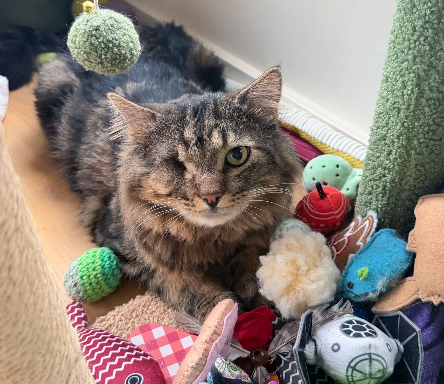 Biscotti and Melanie Logue: Furry Friends Fur-Ever 