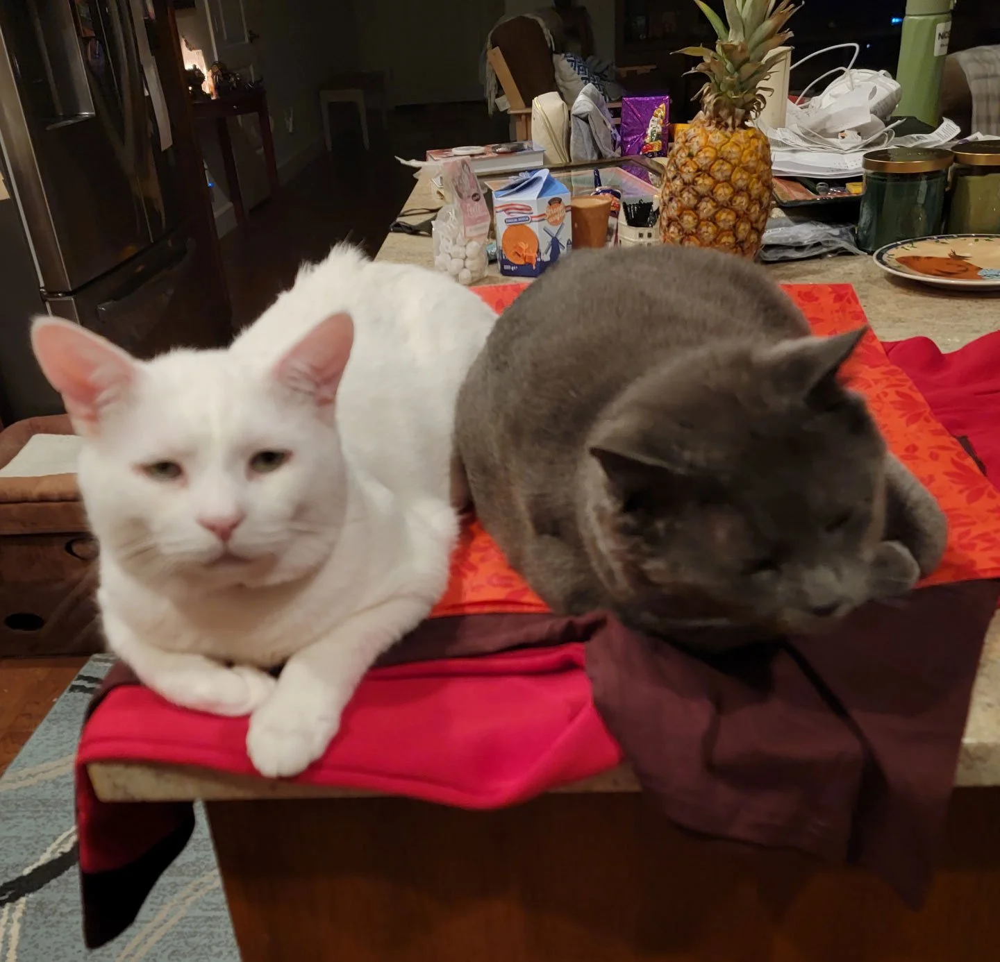 Leo and Gunnar and Jim Roane and Mike Stasio: Furry Friends Fur-Ever 