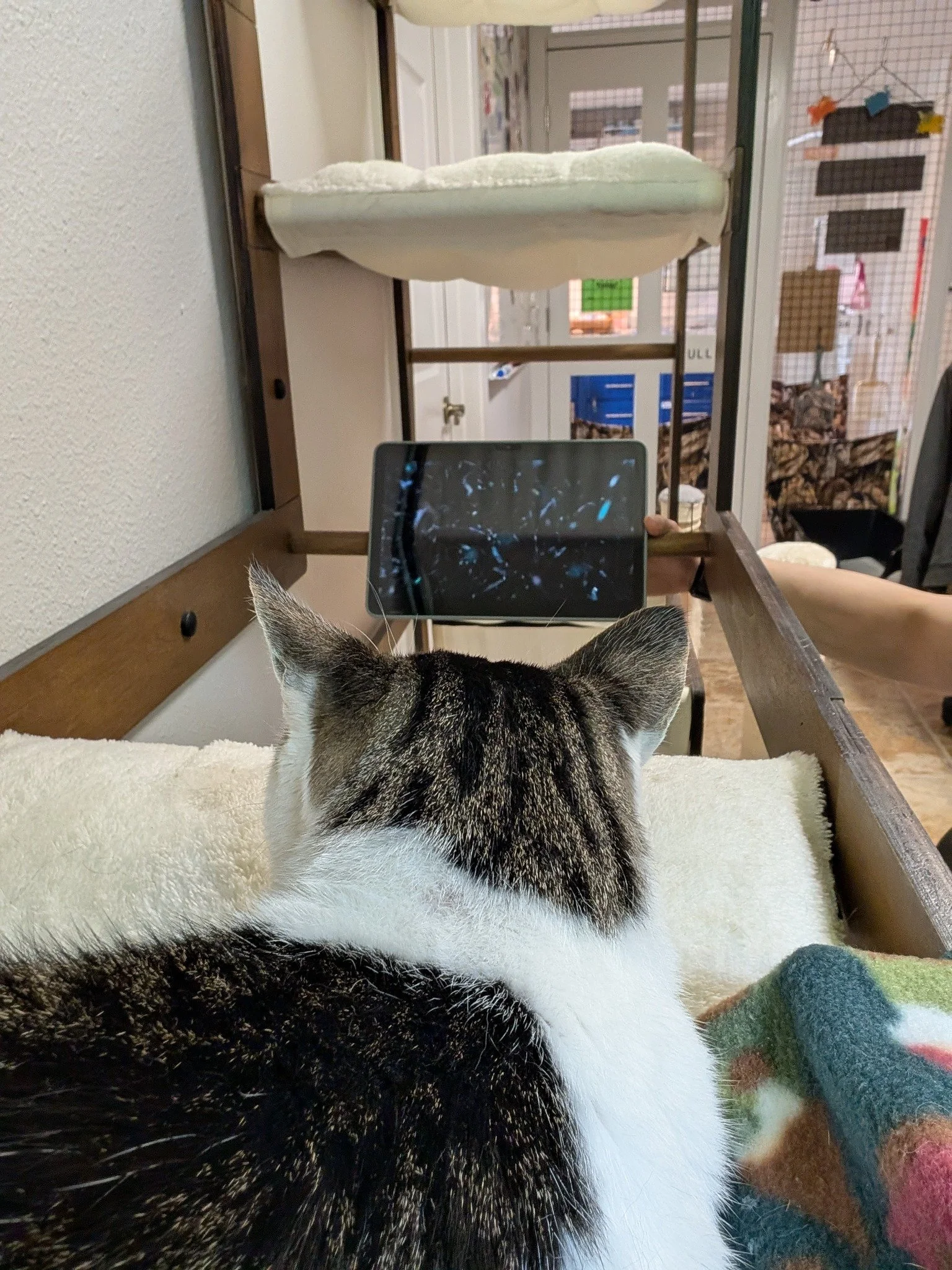 Gloria-5-26-event watching documentaries.jpg