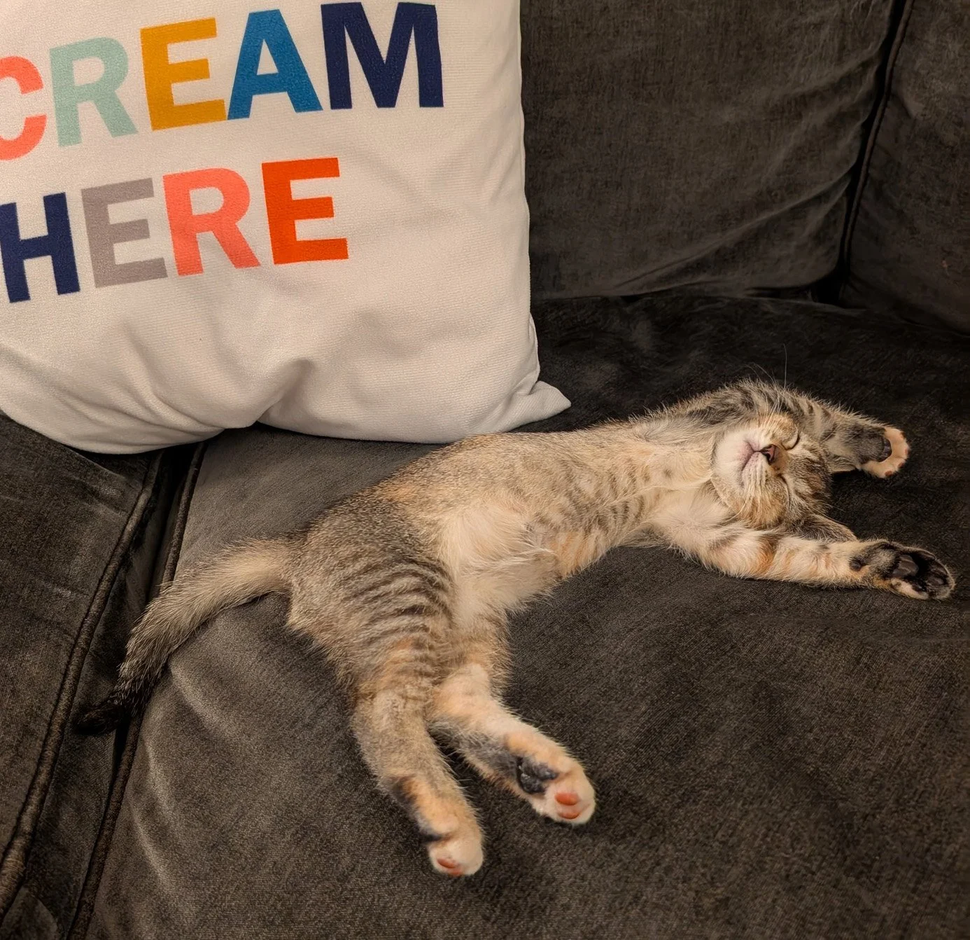 Gloria-5-26-First foster.jpg