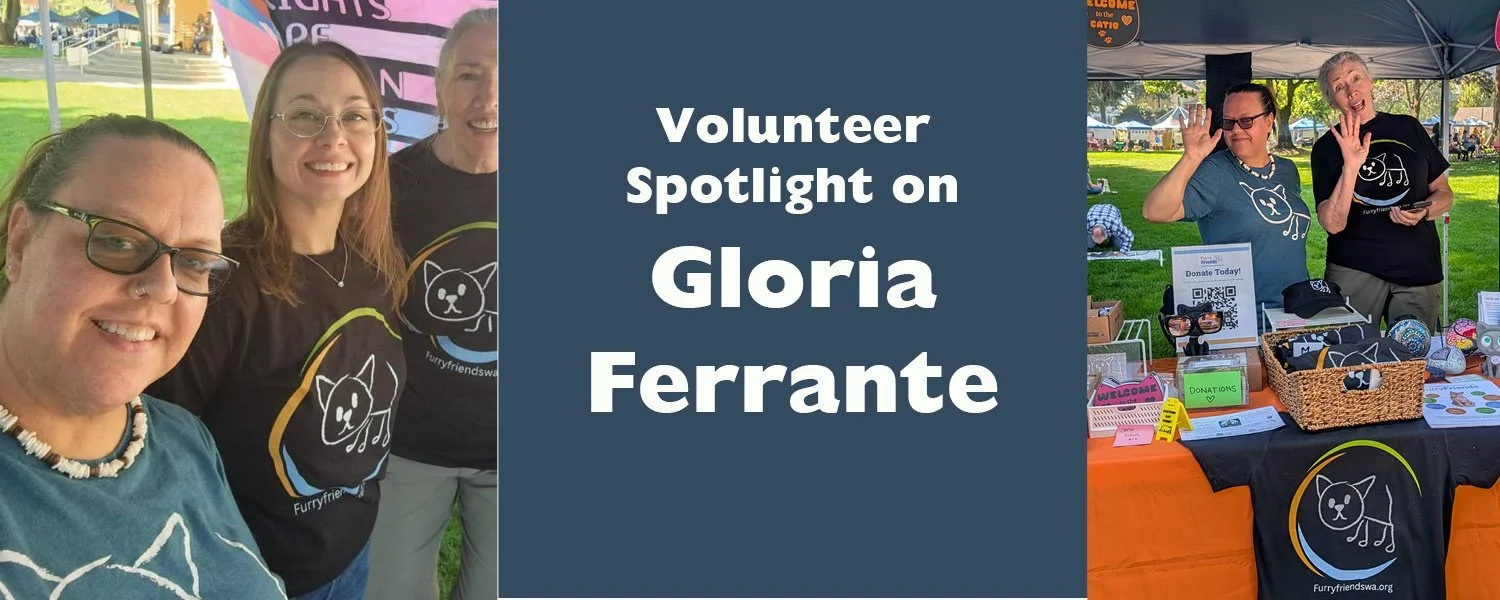 Gloria Ferrante: Volunteer Spotlight 