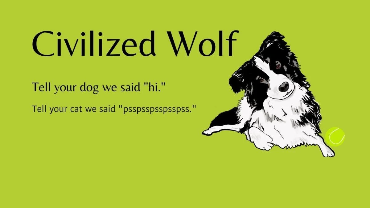 Civilized Wolf 4th Birthday Event