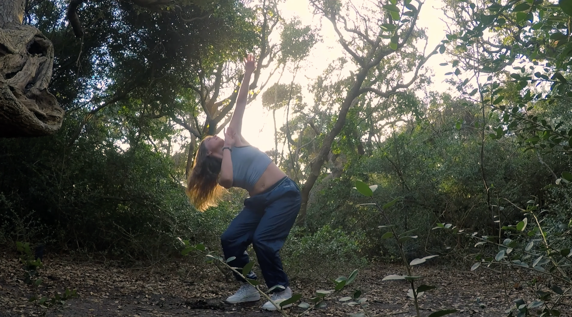 Dance Filmmaking