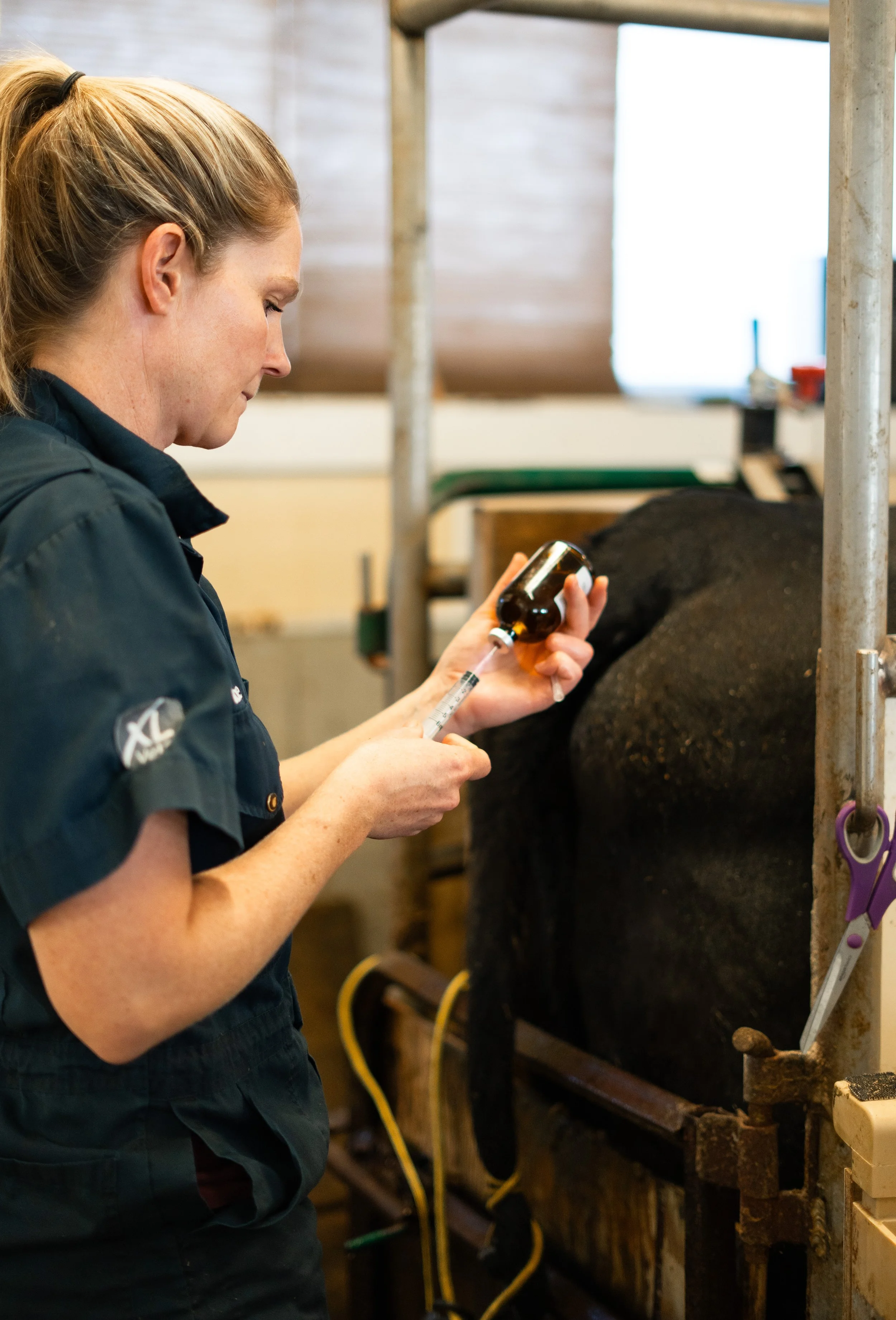 kirkton-veterinarian-working-documentary-photos-embryo-services (10).jpg