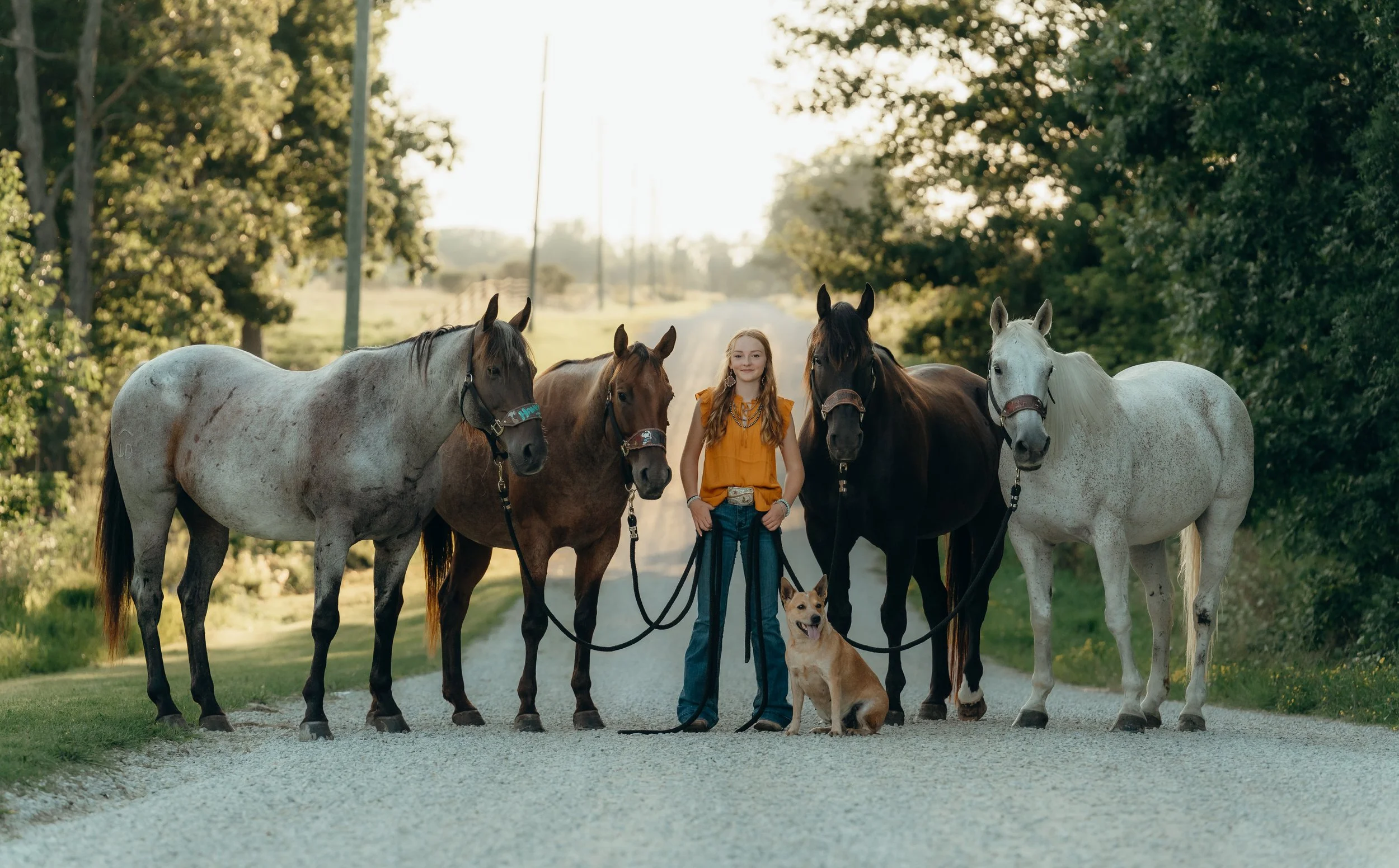 golden-hour-horse-photoshoot (3).jpg