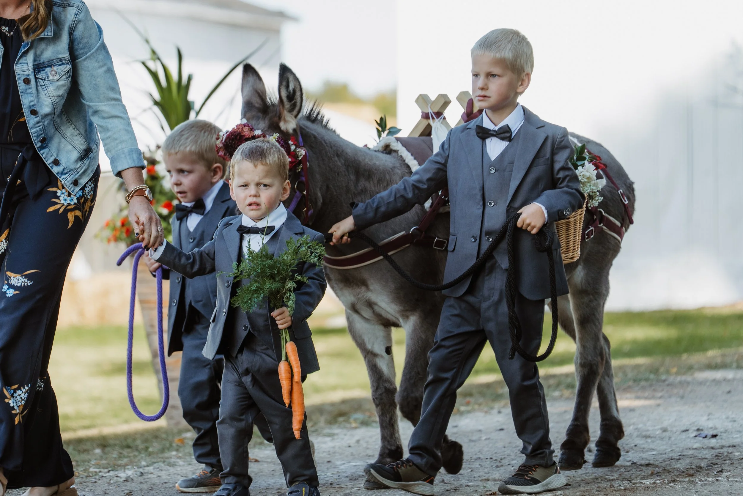farm-wedding-ceremony-horses-ontario-photographer (5).jpg
