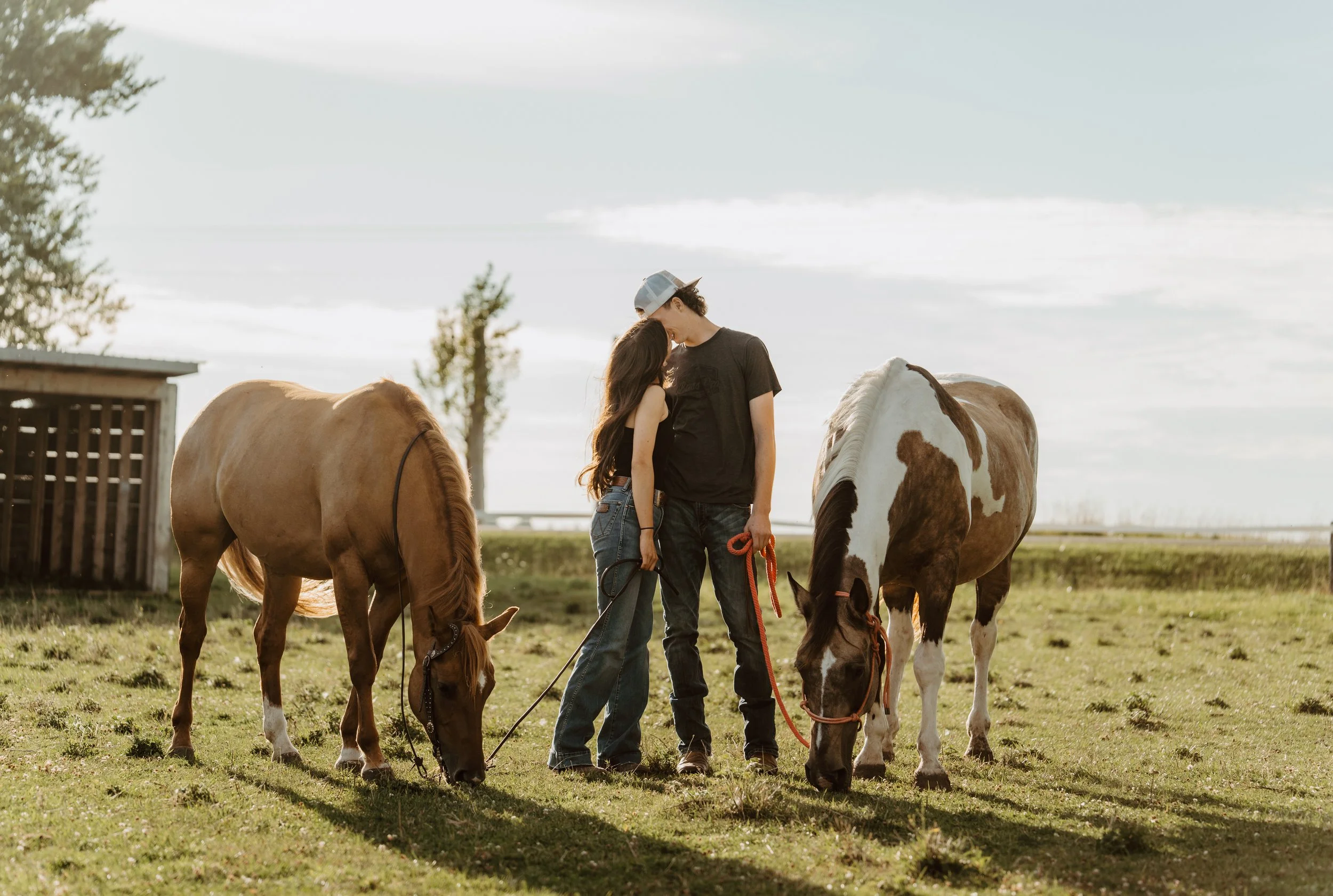 southern-ontario-golden-hour-couples-photos-western-horses (4).jpg