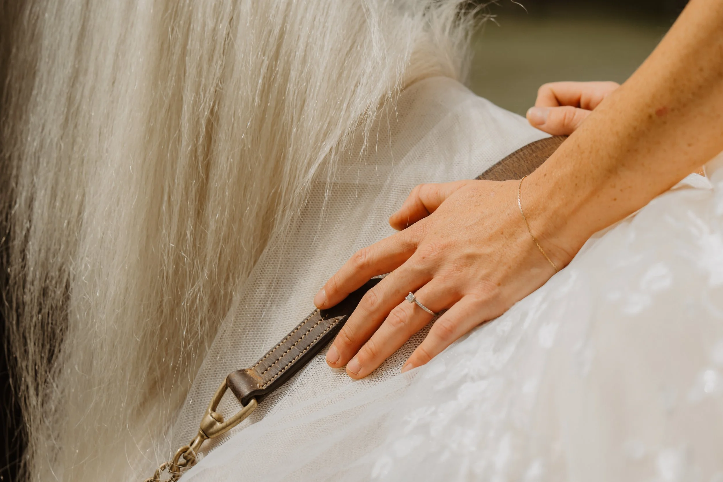 wedding-horse-bride-dress-documentary-photos (1).jpg